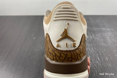 9353 379 StreetReady Jordan 3 CT8532- “Palomino” Air 0902